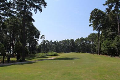 Backyard Golf Course View, Hole # 15 Palmer