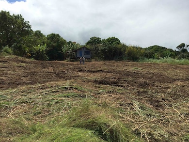 Lower Nahiku Rd, Hana, HI 96713 - photo 6