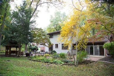 Beautiful backyard