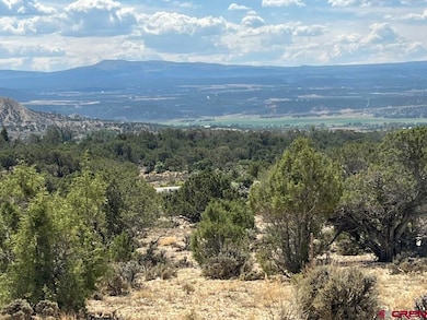 TBD Buckhorn Rd, Montrose, CO 81403 - photo 2