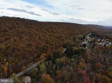 481 Hazle St, Quakake, PA 18245 - photo 6