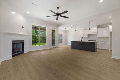 35 Dora Ln, Hattiesburg, MS 39402 - photo 6