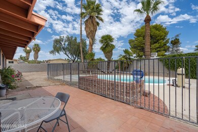 3 Backyard-1