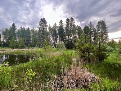 Looking Across Pond At Lot