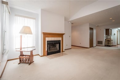 Gas fireplace