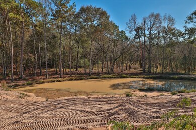 The property has been partially cleared around the