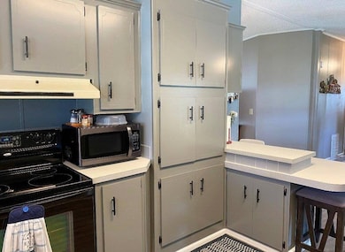 8880 SW 27th Ave unit LOT A42, Ocala, FL 34476 - photo 7