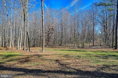 589 Three Chopt Rd, Kents Store, VA 23084 - photo 2