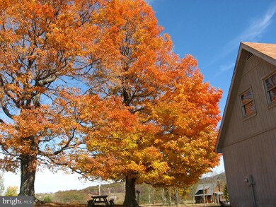 261 Three Maple Dr, Mathias, WV 26812 - photo 4