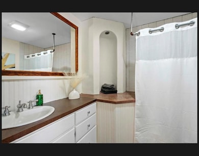 Full bath featuring vanity and a shower with curt