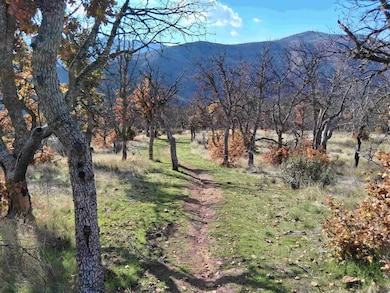 829 Oak Knoll Rd, Horse Creek, CA 96050 - photo 2