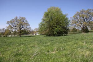 7.38 ac Bunker Rd, Harrison, AR 72601 - photo 7