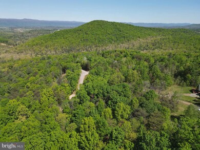 0 Holiday Hill Rd unit VAPA2004728, Luray, VA 22835 - photo 6