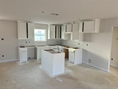 705 Elm Tree Ct, Poolville, TX 76487 - photo 2