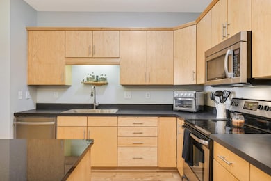 301 Oak Grove St unit 205, Minneapolis, MN 55403 - photo 7