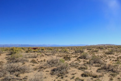 Garnet Dr, Alamosa, CO 81101 - photo 6