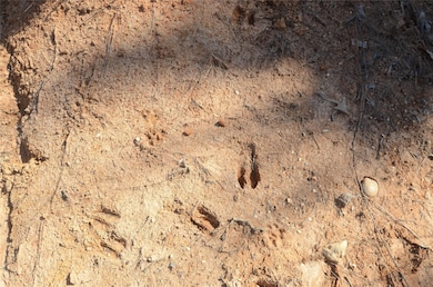 5811 W Folsom Rd, Caddo, OK 74729 - photo 7