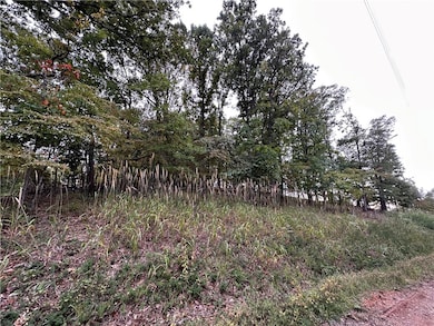 Lot 3 Silver Summit Rd, Eureka Springs, AR 72631 - photo 4