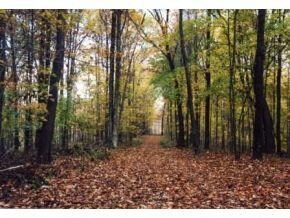 2 Turkey Ridge Rd, Batesville, IN 47006 - photo 3