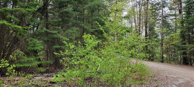 Lot 19 Scrag Mountain Rd, Sugar Hill, NH 03586 - photo 5