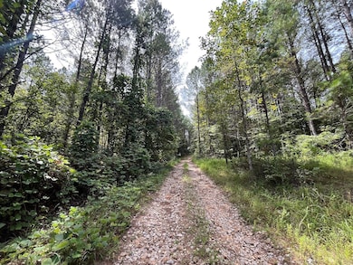 Unnamed Rd, Booneville, MS 38829 - photo 2