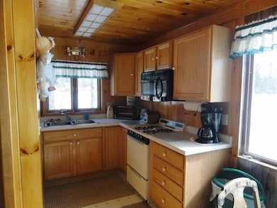 W10641 Bogus Rd, Deerbrook, WI 54424 - photo 5