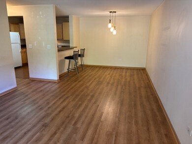 1472 Mcclure Rd unit 46, Aurora, IL 60505 - photo 4