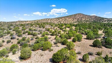 Aerial - 18800 N Butte Pass Rd
