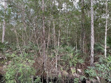 4646 Gum Rd, New Smyrna Beach, FL 32168 - photo 7