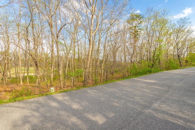 0 Old Rocky Trail unit RTC2866646, Rising Fawn, GA 30738 - photo 2