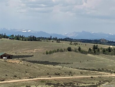 537 Lippzana Rd, Como, CO 80456 - photo 4