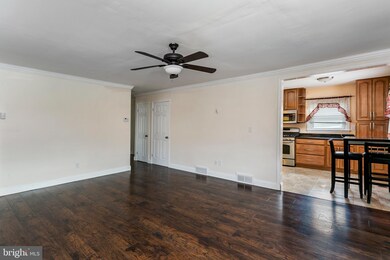 3702 Mactavish Ave, Baltimore, MD 21229 - photo 3