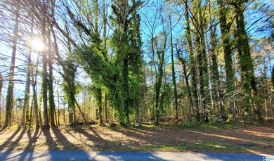 000 Welch Ave unit 1, Talladega, AL 35160 - photo 4