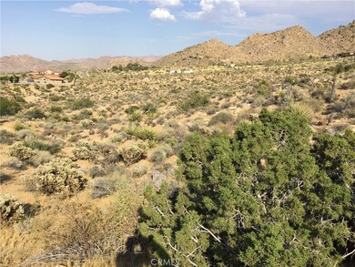 7878 Rockwood Rd, Joshua Tree, CA 92252 - photo 6