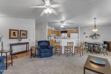 5-web-or-mls-5-web-or-mls-IMG_1297