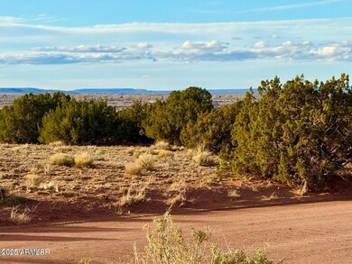 480 County Road N6400 --, Saint Johns, AZ 85936 - photo 2