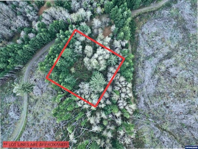 0 Wright Creek Rd, Toledo, OR 97366 - photo 5