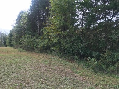 Lot 65 Marthas Ct, Mount Washington, KY 40047 - photo 4