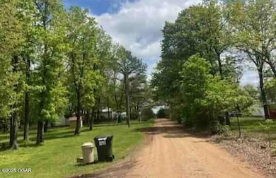 21596 County Rd unit 237A, Wheatland, MO 65779 - photo 3