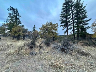 0 Inspiration Point Rd, Susanville, CA 96130 - photo 6