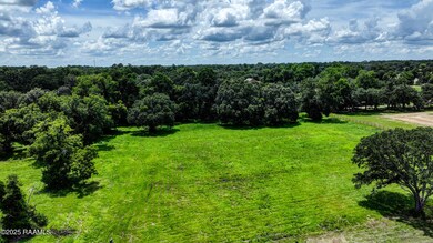 501 Mary View Farm-8