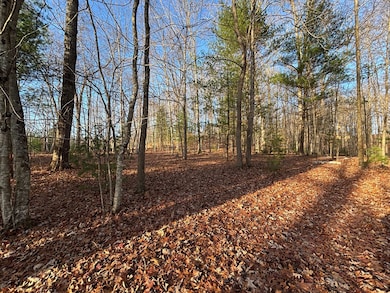 0 Maple Rd, Beckley, WV 25801 - photo 3