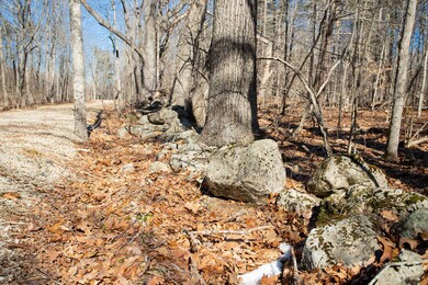 1 Jones, York, ME 03909 - photo 6