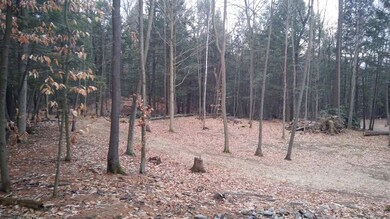 0 Hutchins Rd unit Lot 1 4800638, Chesterfield, NH 03466 - photo 5