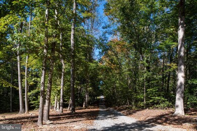 10704 Villa Way, Fredericksburg, VA 22407 - photo 3