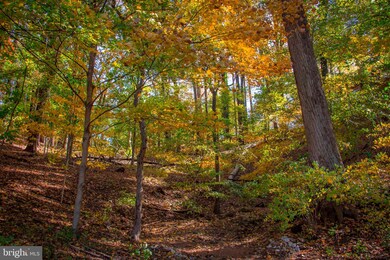 1919 Montevideo Rd, Jessup, MD 20794 - photo 2