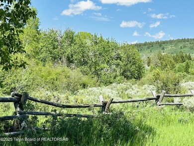 IMG_2652
