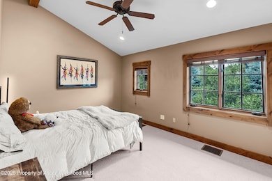 145 Juniper Trail, Carbondale, CO 81623 - photo 5