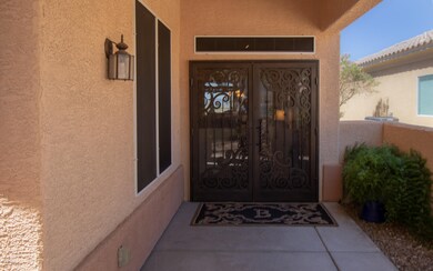 Steel Security Doors