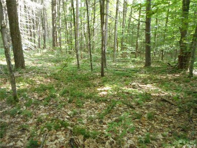 Lot / Land
